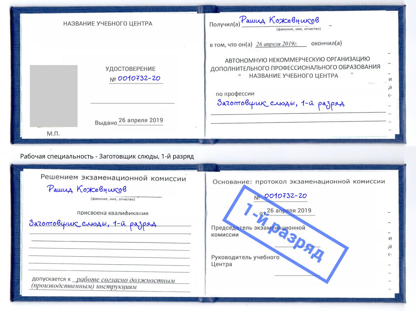 корочка 1-й разряд Заготовщик слюды Тихорецк